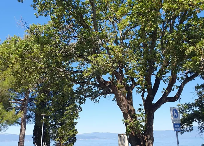 公寓 Lavanda Ruzmarin 奈维斯