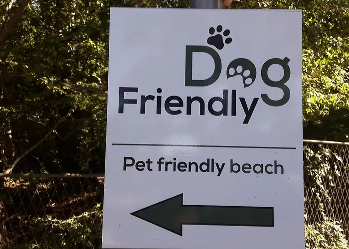 Lavanda Ruzmarin * 奈维斯