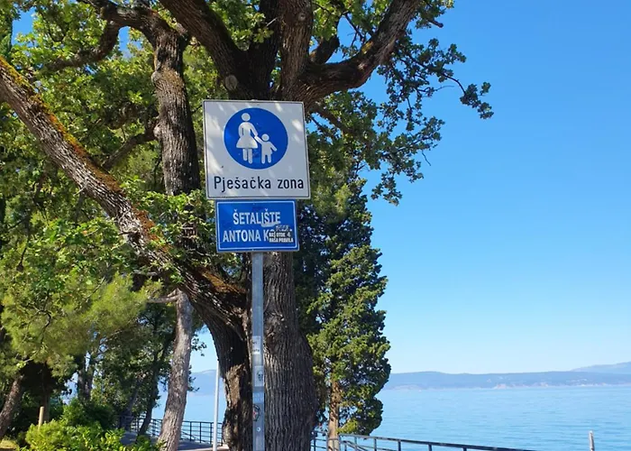 Lavanda Ruzmarin 奈维斯