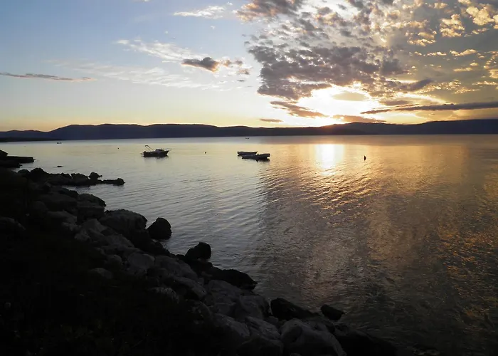 Lavanda Ruzmarin 奈维斯